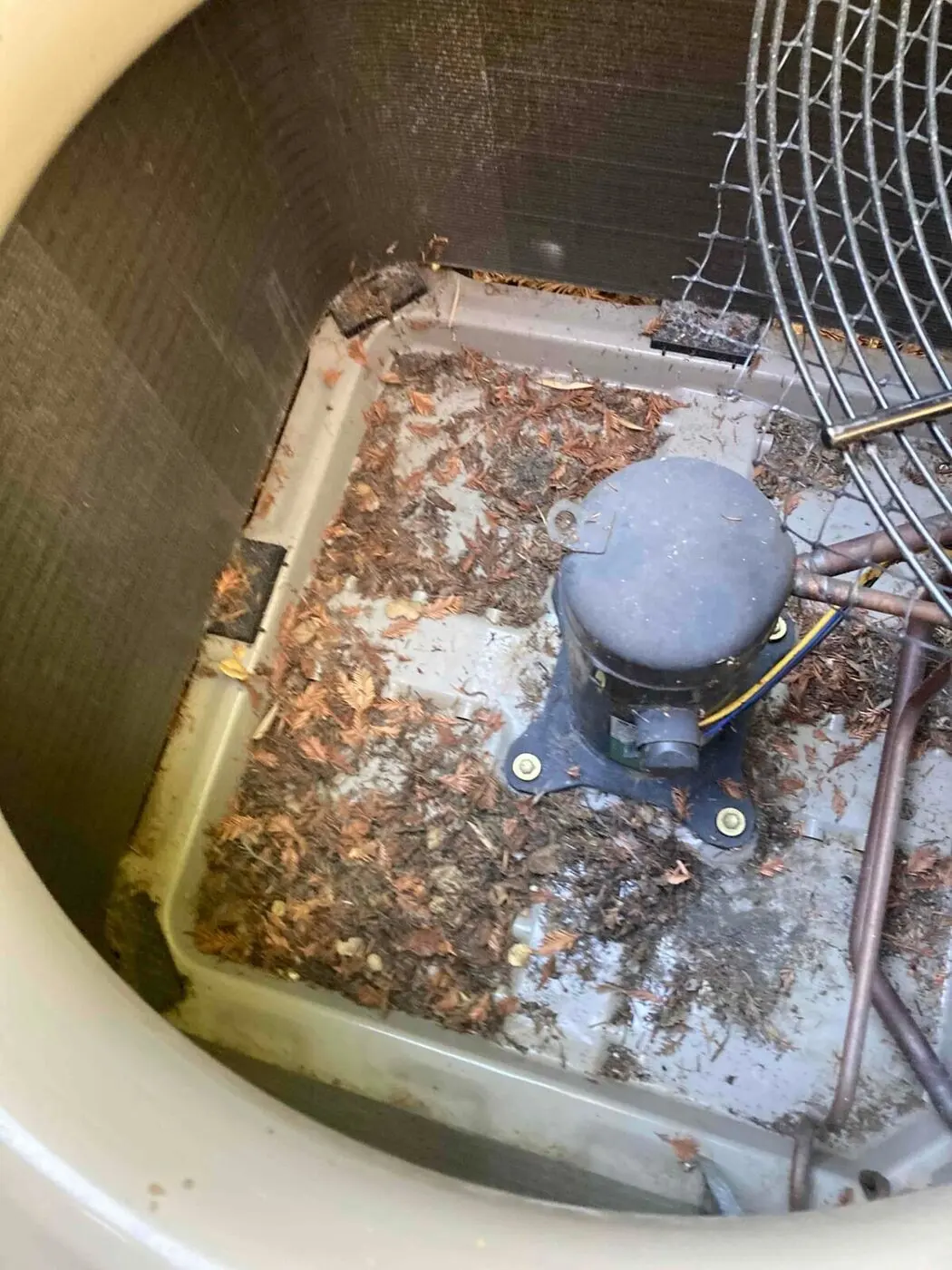 Base pan inside an outdoor condensing unit with leaf and needle debris before cleaning