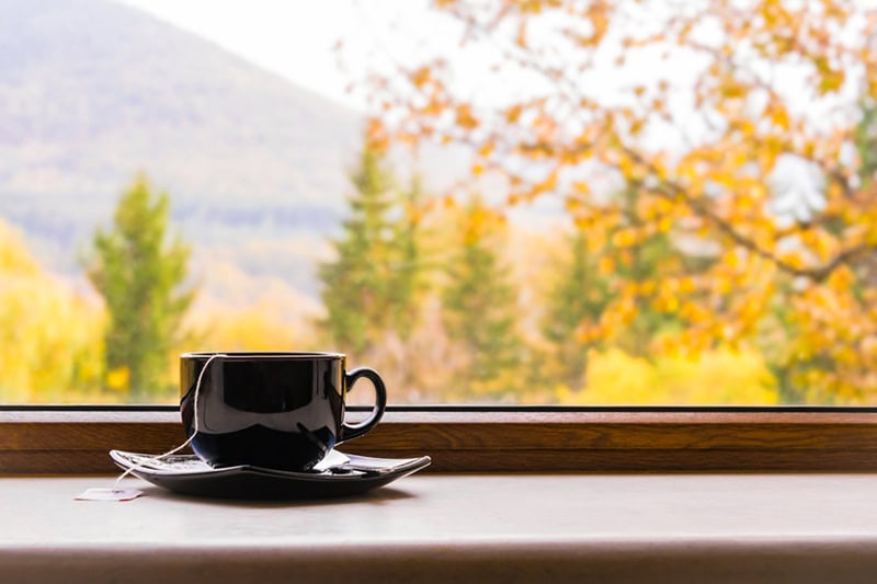 Hot beverage in a mug sitting my a window sill to a fall view.